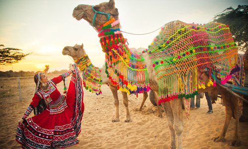 Royal Rajasthan Taxi Tour Package